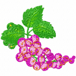 Grapes Embroidery Design 2 Grapes Embroidery Design 2